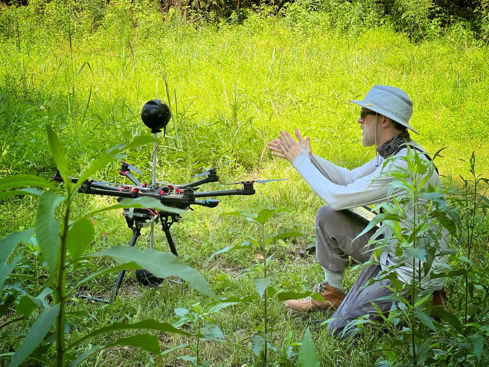 DRAX — Immersive Forests