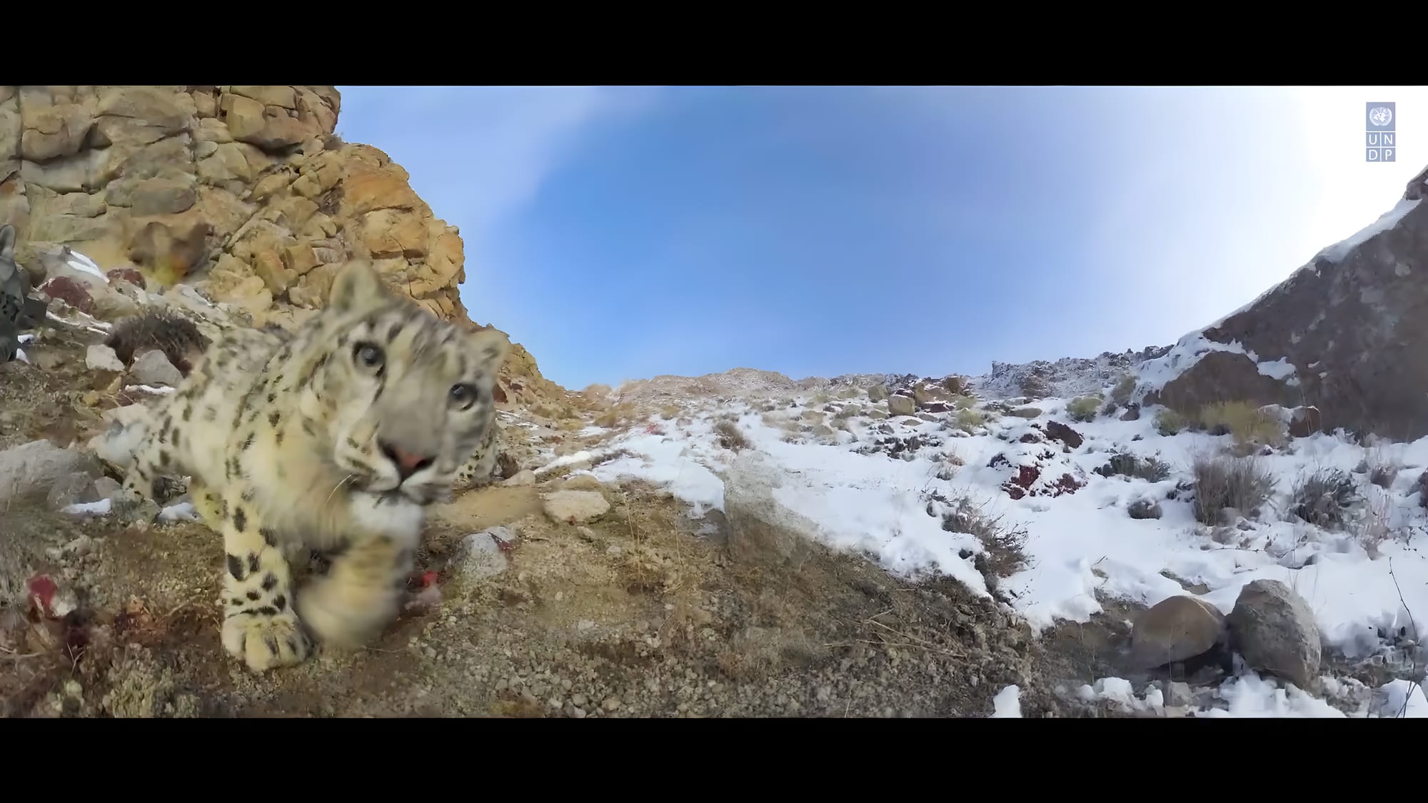 Into the Himalayas