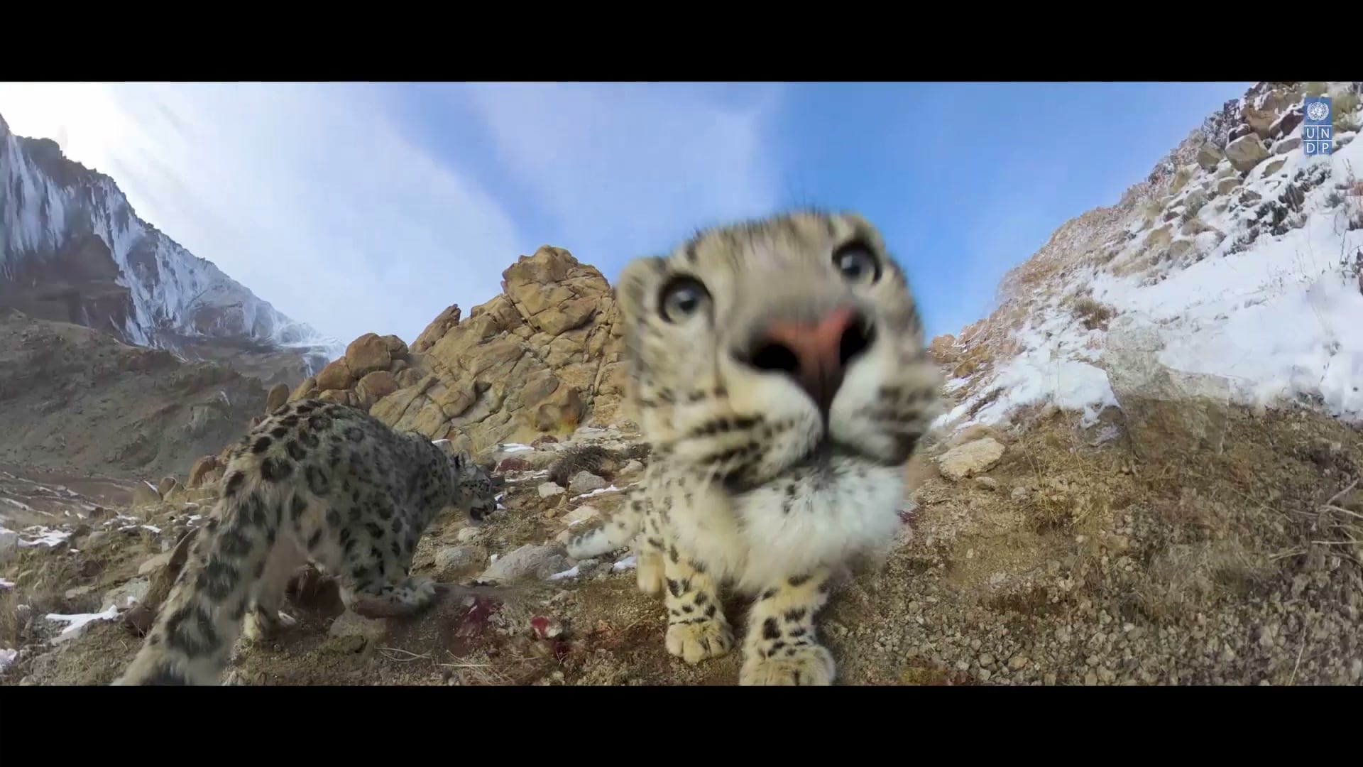 Into the Himalayas