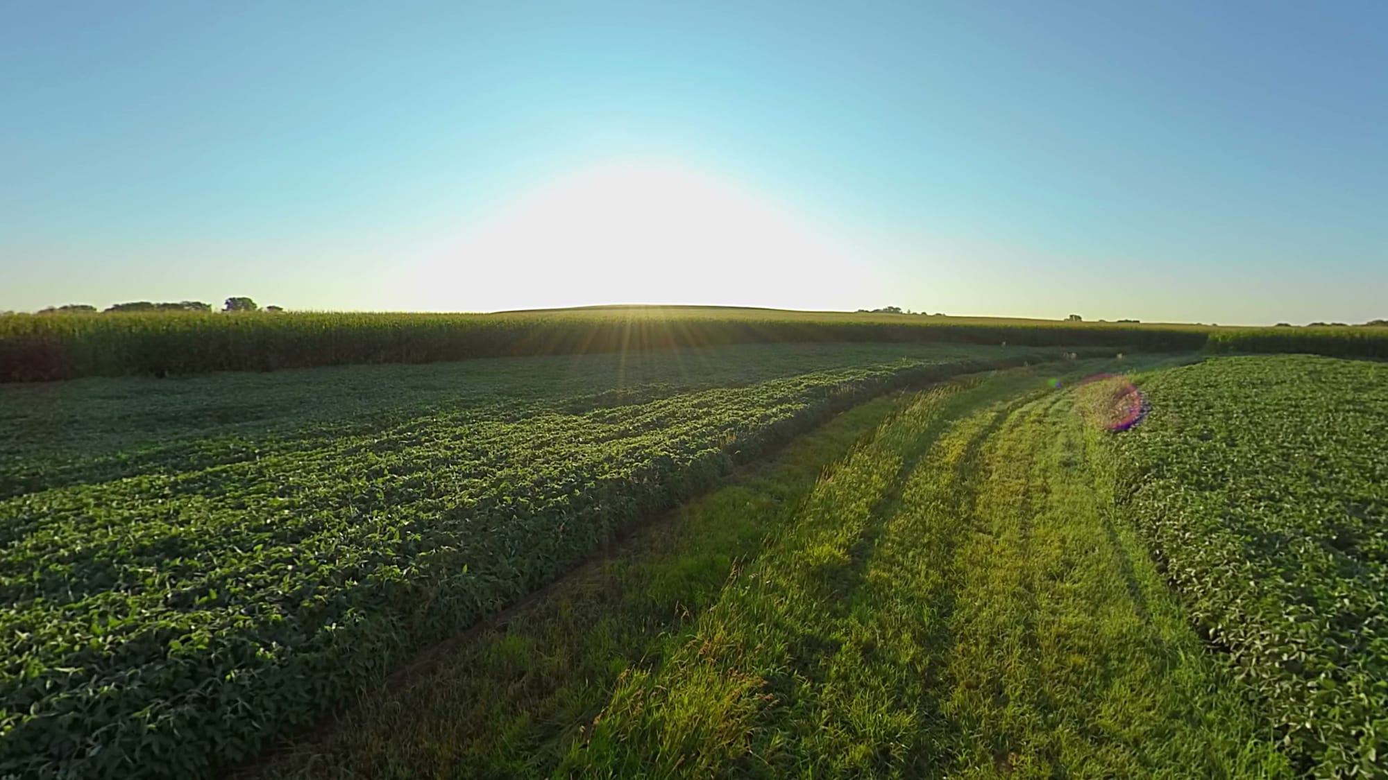 LYCRA + QIRA — From Field to Fiber VR Tour