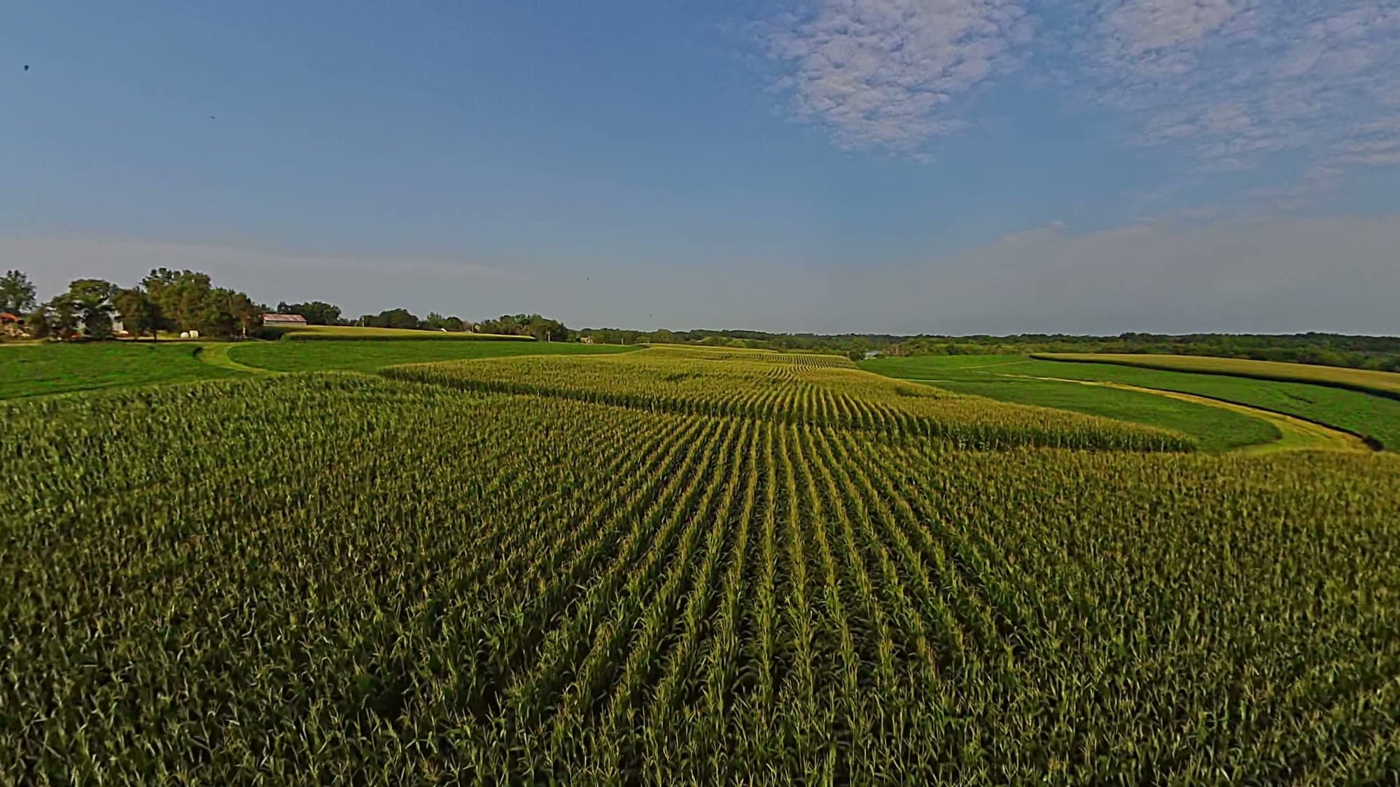 LYCRA + QIRA — From Field to Fiber VR Tour