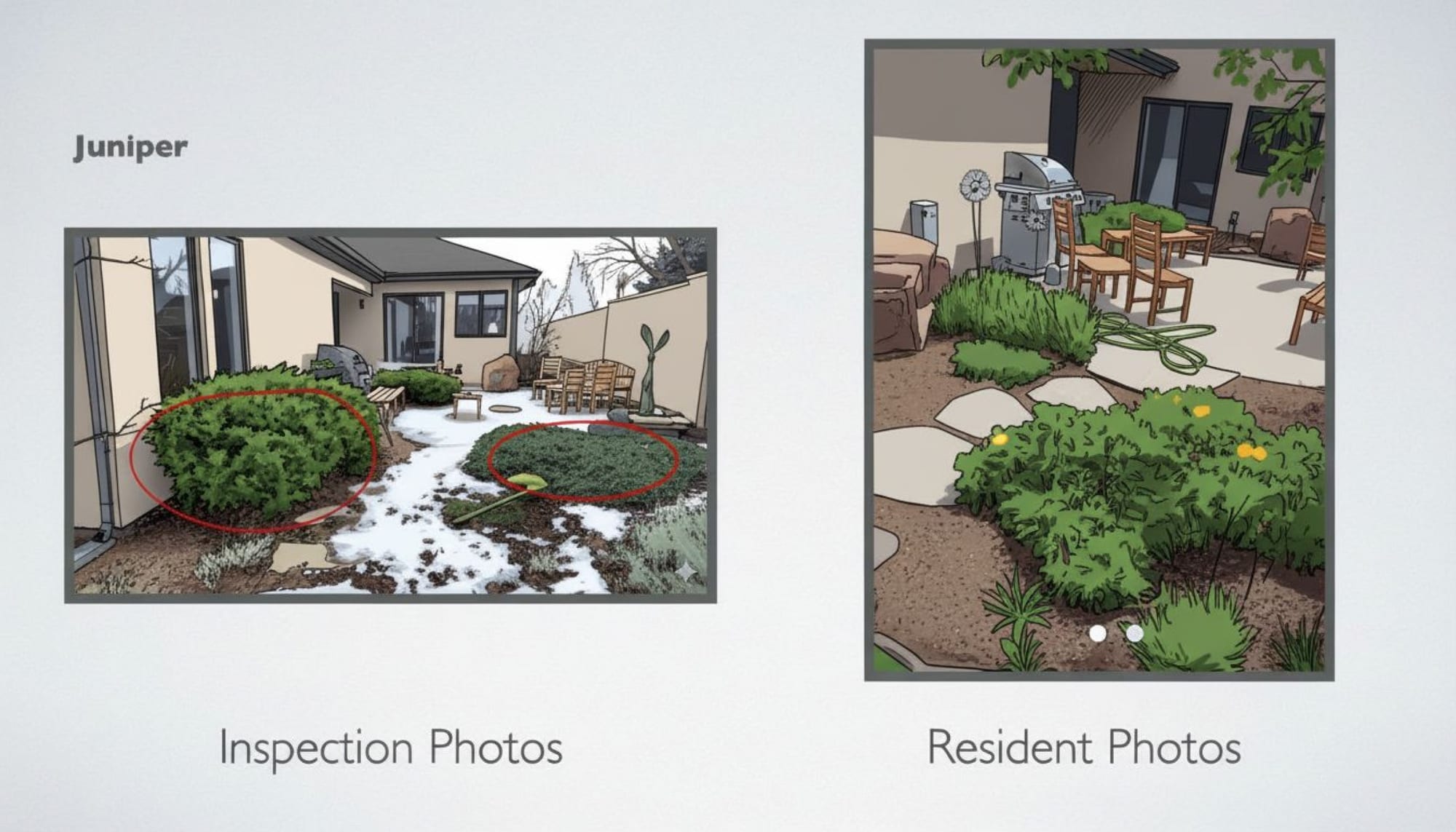 Illustrated before/after comparison labeled 'Juniper' — an inspection photo with the hazard circled in red beside a resident photo of the same spot corrected