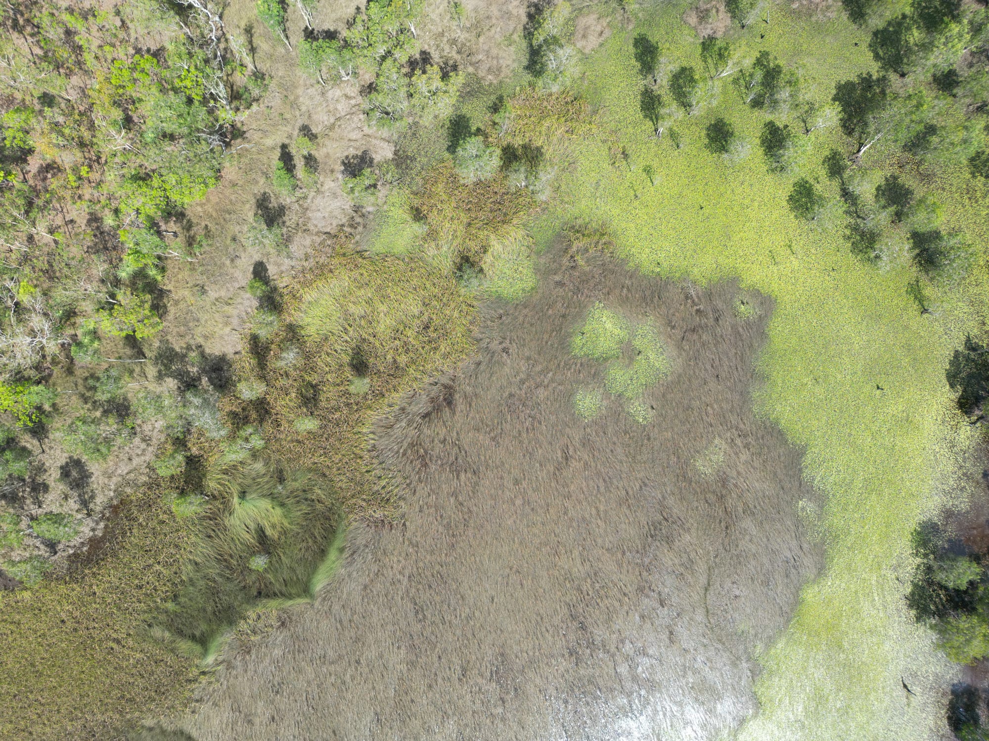 The Earth Above